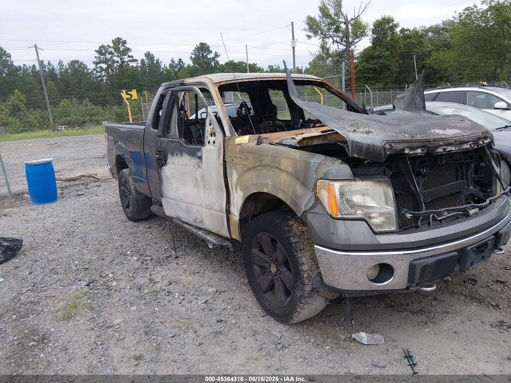1FTFX1EF4DKD12597 2013 FORD F-150 photo no. 11