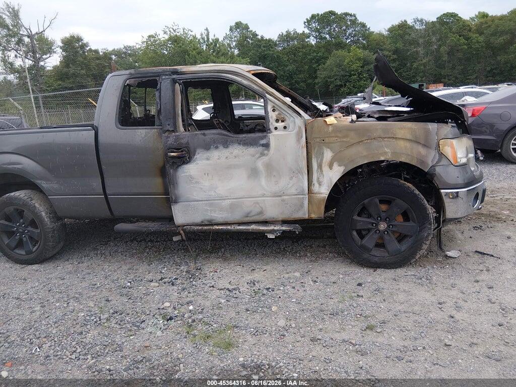 1FTFX1EF4DKD12597 2013 FORD F-150 photo no. 12