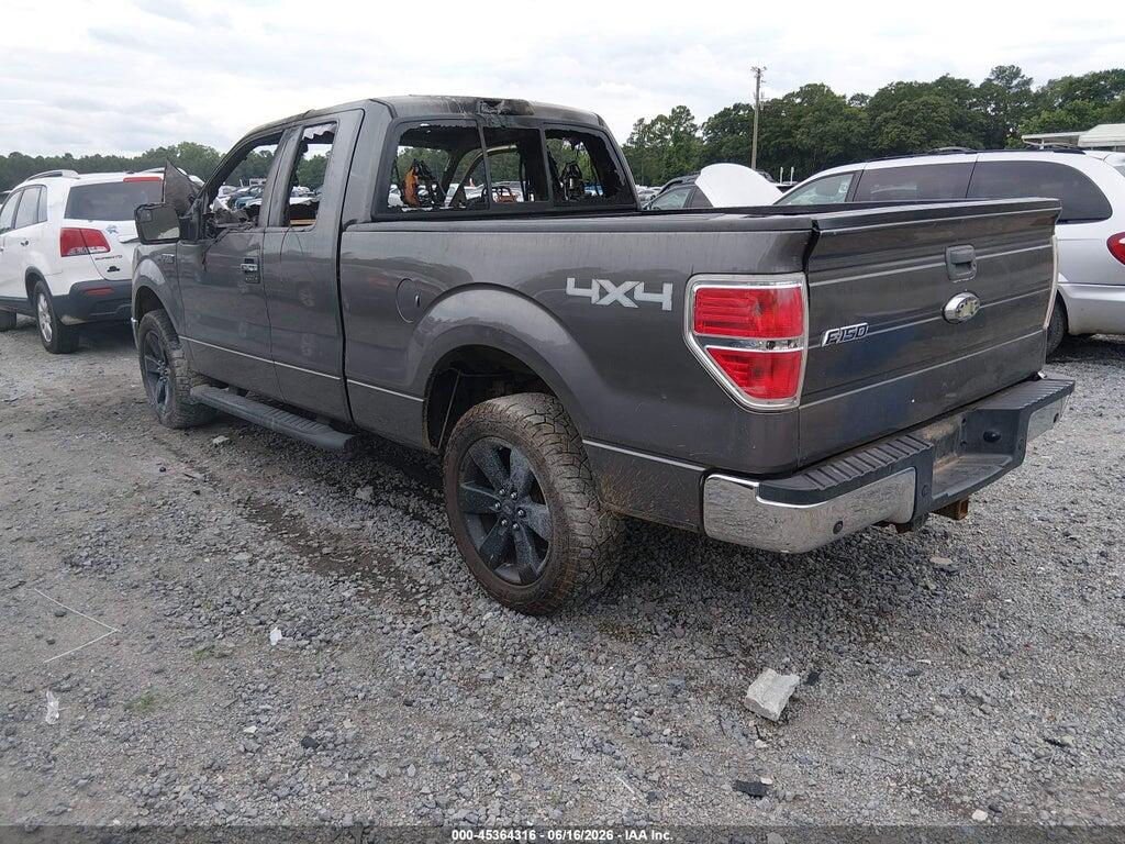 1FTFX1EF4DKD12597 2013 FORD F-150 photo no. 3