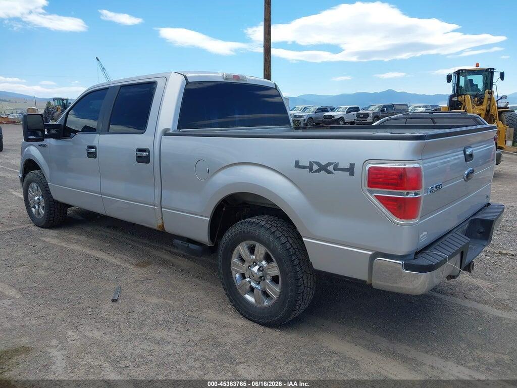 1FTFW1EV3AFD43533 2010 FORD F-150 photo no. 3