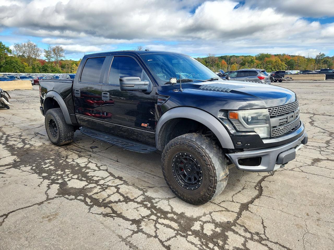 2014 FORD F150 SVT RAPTOR — Фото 4 из 12