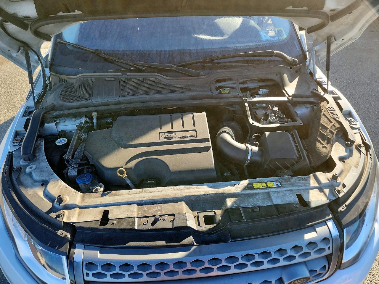 2019 LAND ROVER RANGE ROVER EVOQUE SE — Фото 12 из 13