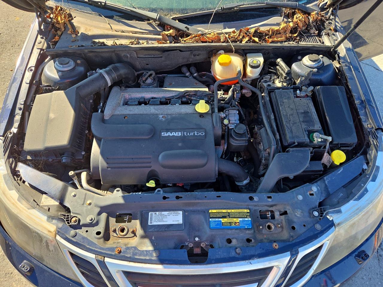 2009 SAAB 9-3 2.0T — Фото 11 из 13