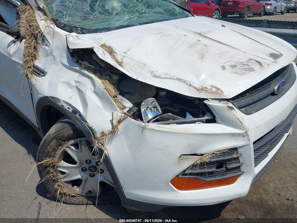 1FMCU0F79EUC17273 2014 FORD ESCAPE photo no. 6