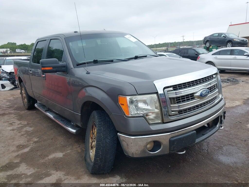 1FTFW1EF1DKD53515 2013 FORD F-150 photo no. 1