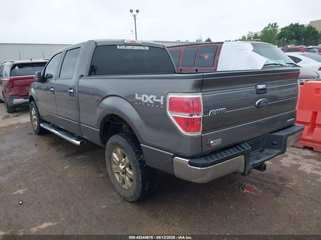 1FTFW1EF1DKD53515 2013 FORD F-150 photo no. 3
