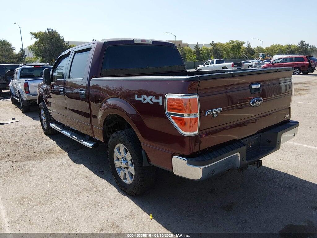 1FTFW1EVXAKA26971 2010 FORD F-150 photo no. 3