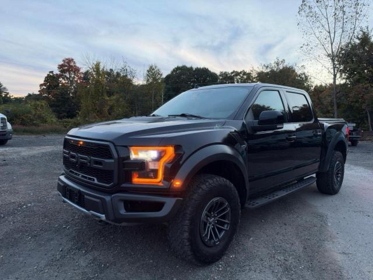 2019 FORD F150 RAPTOR — Фото 2 из 10