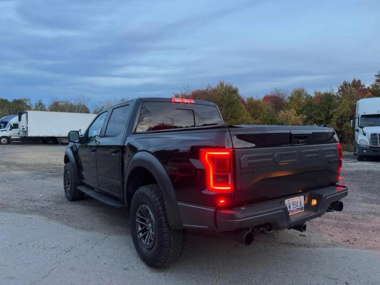 2019 FORD F150 RAPTOR — Фото 3 из 10