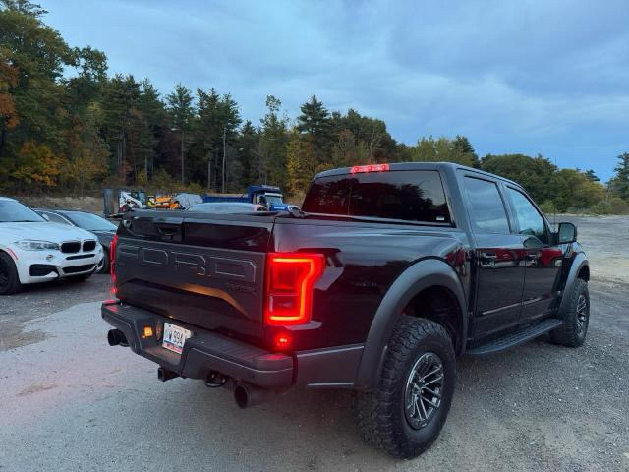 2019 FORD F150 RAPTOR — Фото 4 из 10
