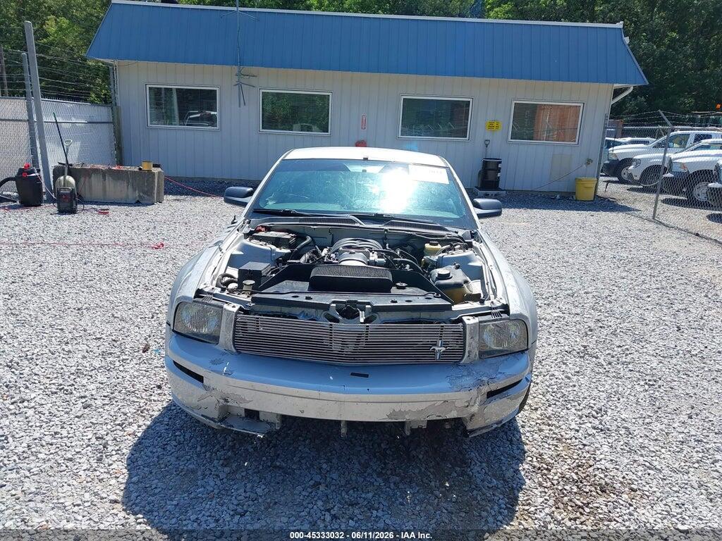 1ZVFT82H565184086 2006 FORD MUSTANG photo no. 12