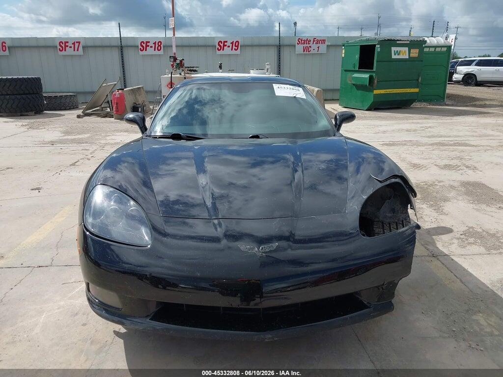 1G1YE2DW4A5105894 2010 CHEVROLET CORVETTE photo no. 12
