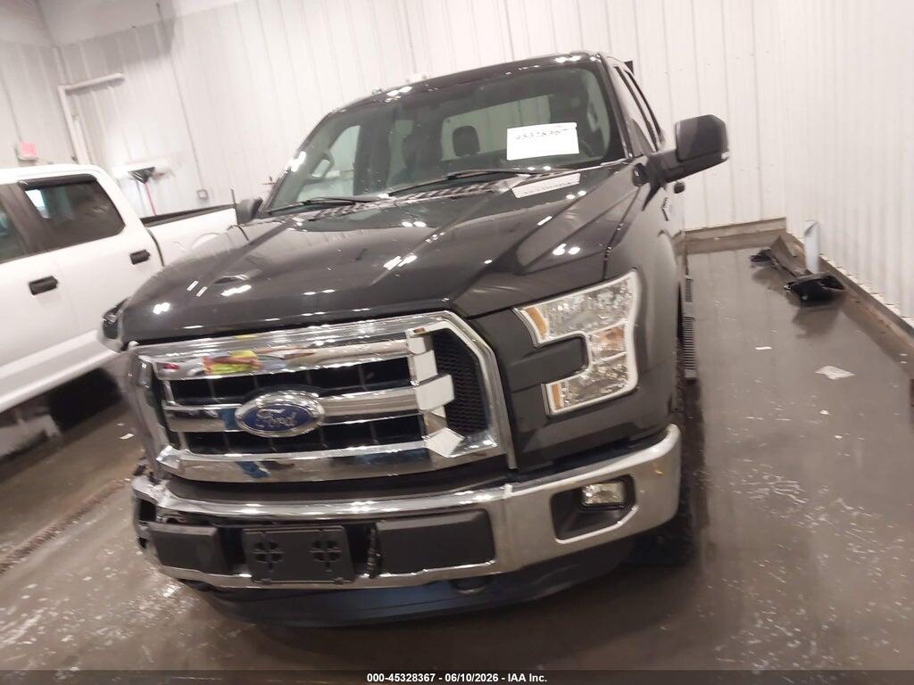 1FTEW1EG9FFB79659 2015 FORD F-150 photo no. 12