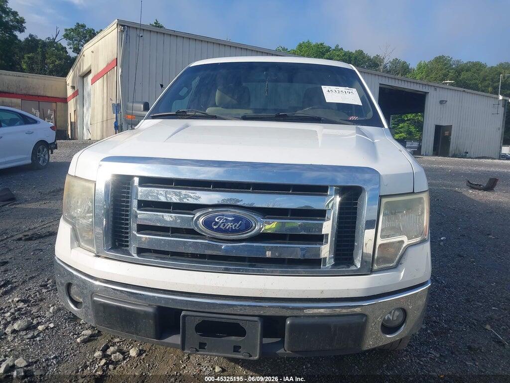1FTEX1C82AFA45142 2010 FORD F-150 photo no. 12