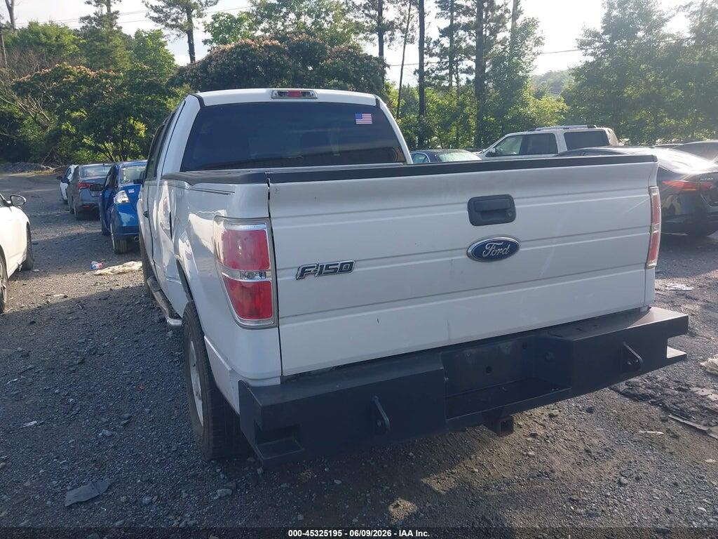 1FTEX1C82AFA45142 2010 FORD F-150 photo no. 3