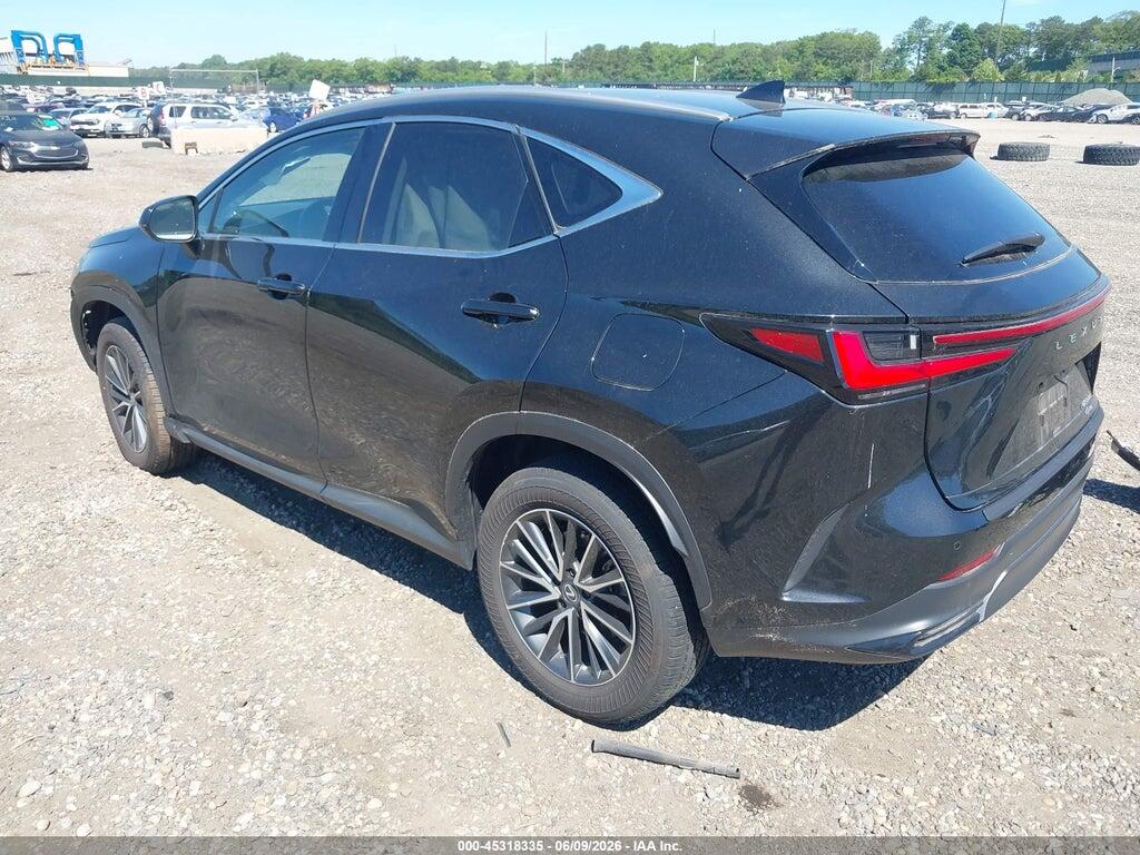 2T2AGCEZ7SC065991 2025 LEXUS NX 350 photo no. 3