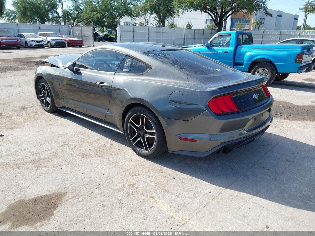 1FA6P8TH0K5168996 2019 FORD MUSTANG photo no. 3