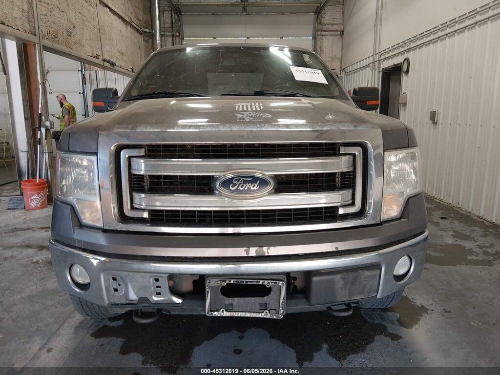 1FTFX1EF5DKD27366 2013 FORD F-150 photo no. 12