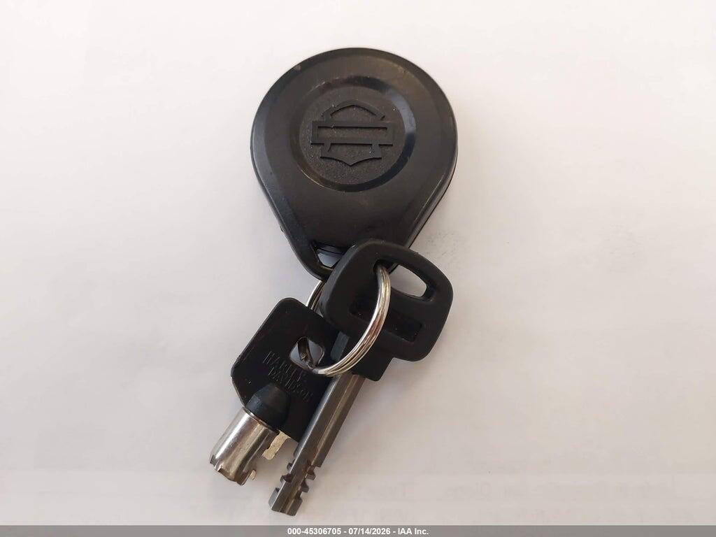 1HD1JRV31FB034257 2015 HARLEY-DAVIDSON FLS photo no. 11
