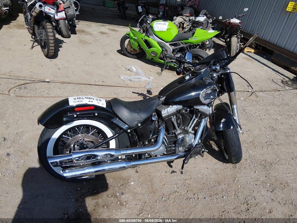 1HD1JRV31FB034257 2015 HARLEY-DAVIDSON FLS photo no. 12