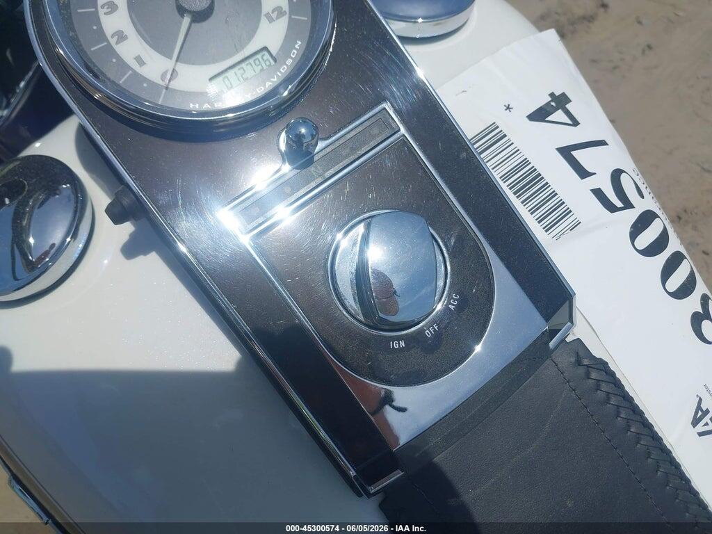 1HD1JD515AB042095 2010 HARLEY-DAVIDSON FLSTN photo no. 11