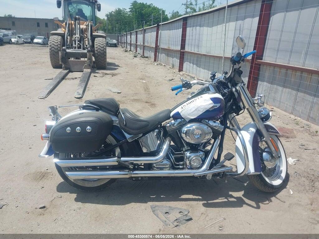 1HD1JD515AB042095 2010 HARLEY-DAVIDSON FLSTN photo no. 12