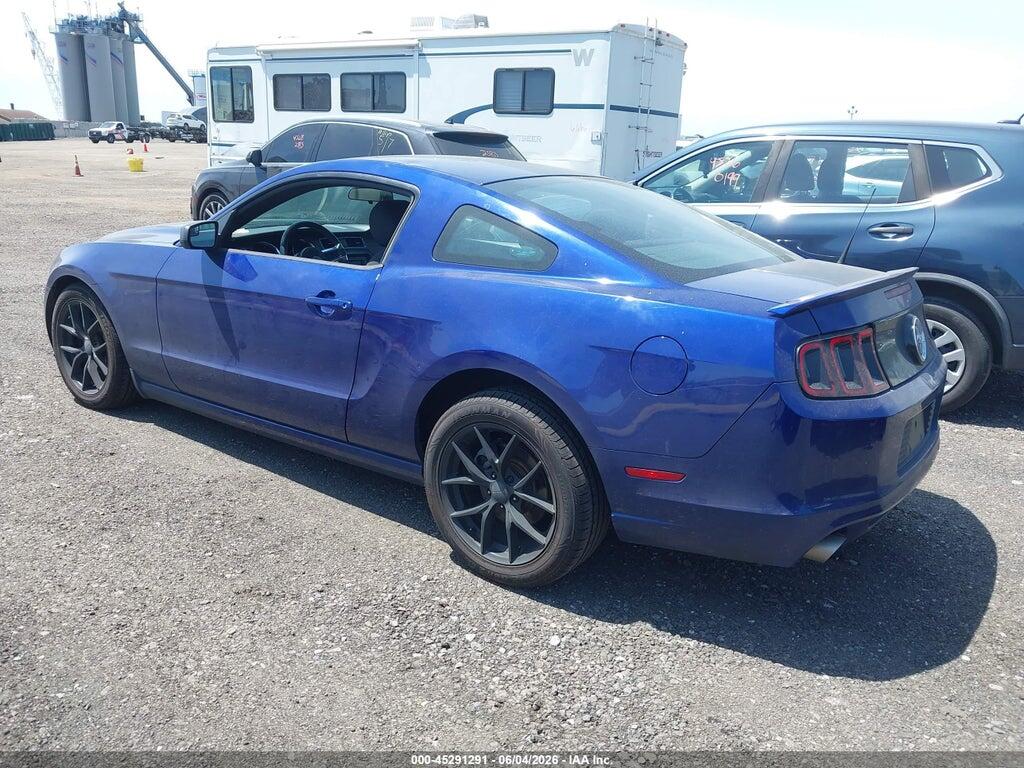 1ZVBP8AM0E5319779 2014 FORD MUSTANG photo no. 3