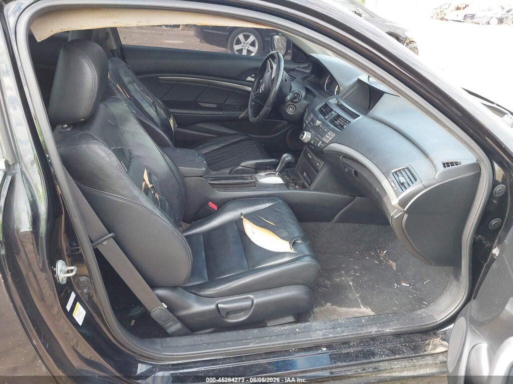1HGCS1B81AA010209 2010 HONDA ACCORD photo no. 5