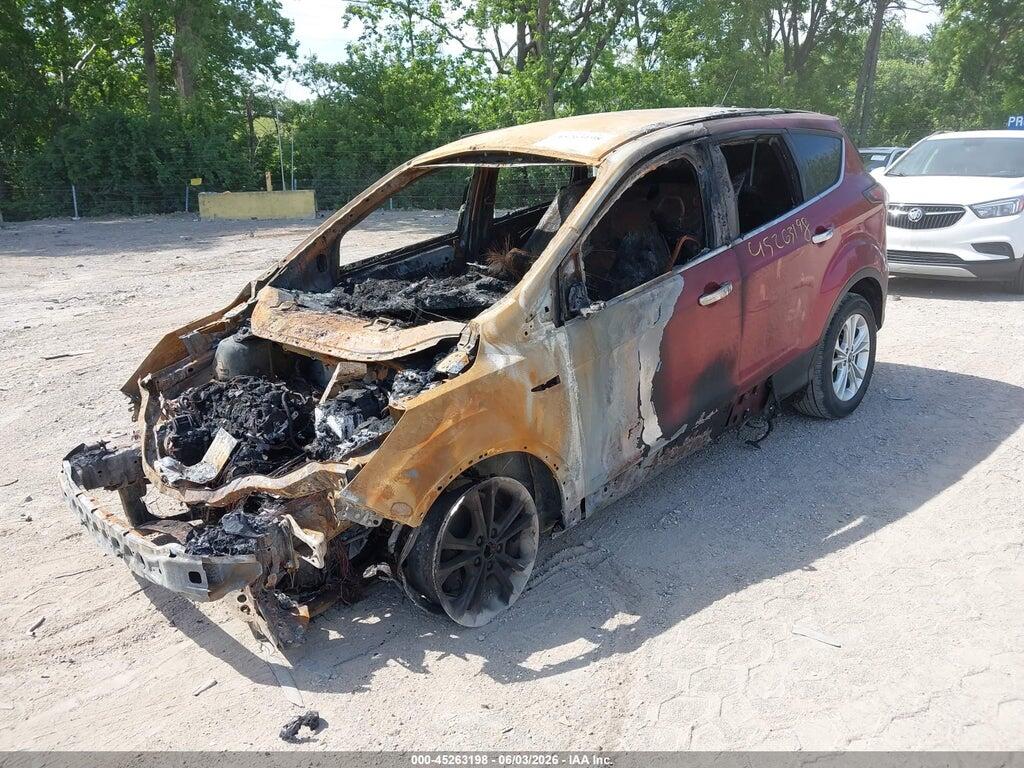 1FMCU0GD7HUA37461 2017 FORD ESCAPE photo no. 2