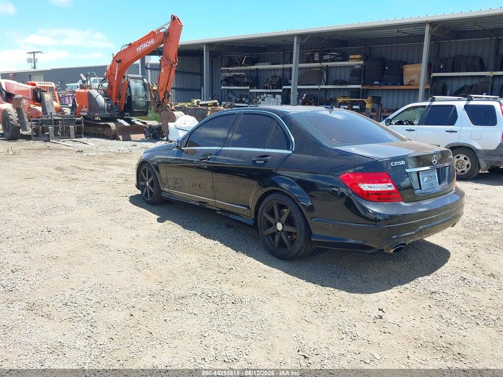 WDDGF4HB9EA956336 2014 MERCEDES-BENZ C 250 photo no. 3