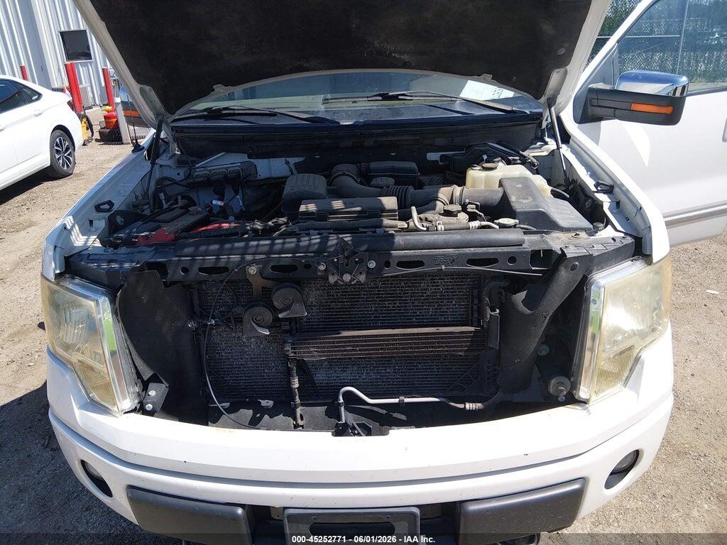 1FTFW1EV0AFB18695 2010 FORD F-150 photo no. 10