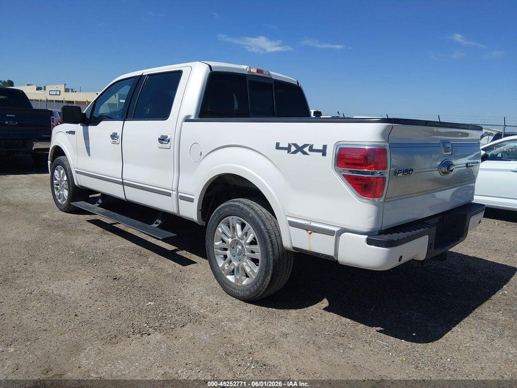 1FTFW1EV0AFB18695 2010 FORD F-150 photo no. 3