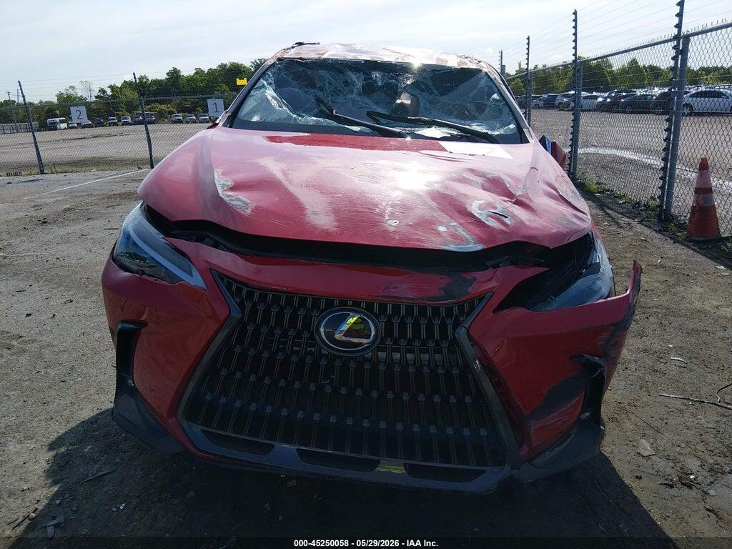JTJADCAZ5P2007819 2023 LEXUS NX 250 photo no. 12