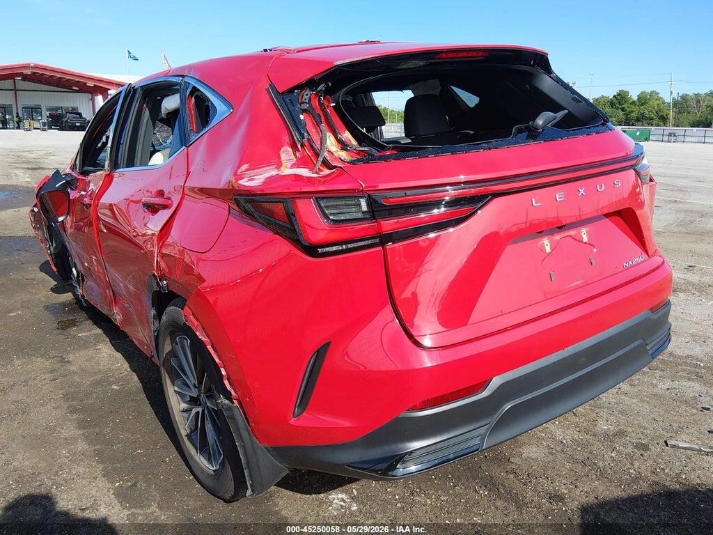 JTJADCAZ5P2007819 2023 LEXUS NX 250 photo no. 3