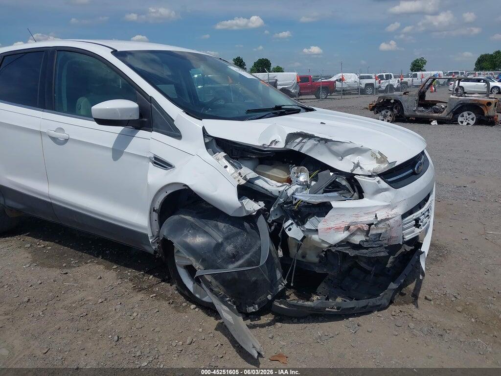 1FMCU0GXXEUB62072 2014 FORD ESCAPE photo no. 6