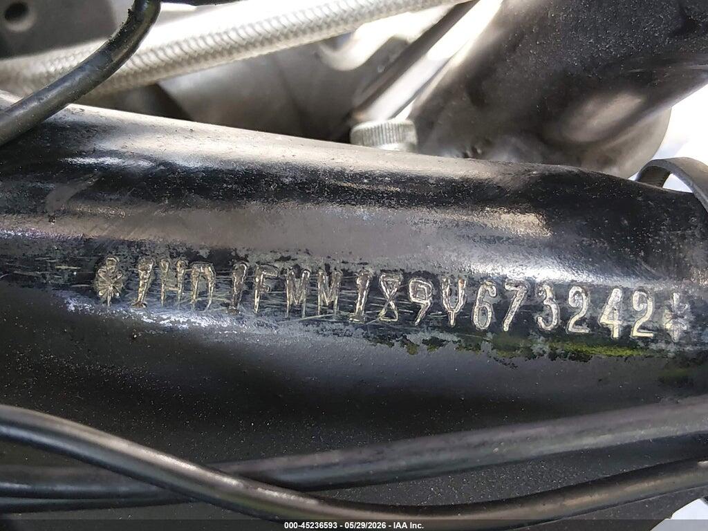 1HD1FMM189Y673242 2009 HARLEY-DAVIDSON FLHTP photo no. 10