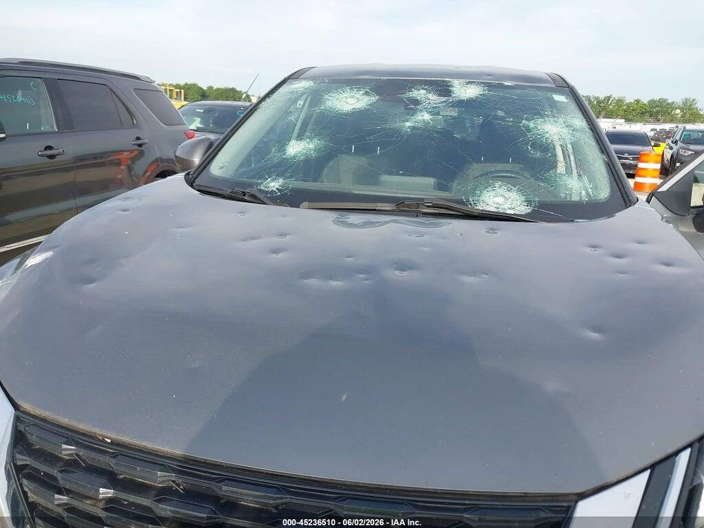 5N1BT3BA9PC898237 2023 NISSAN ROGUE photo no. 6