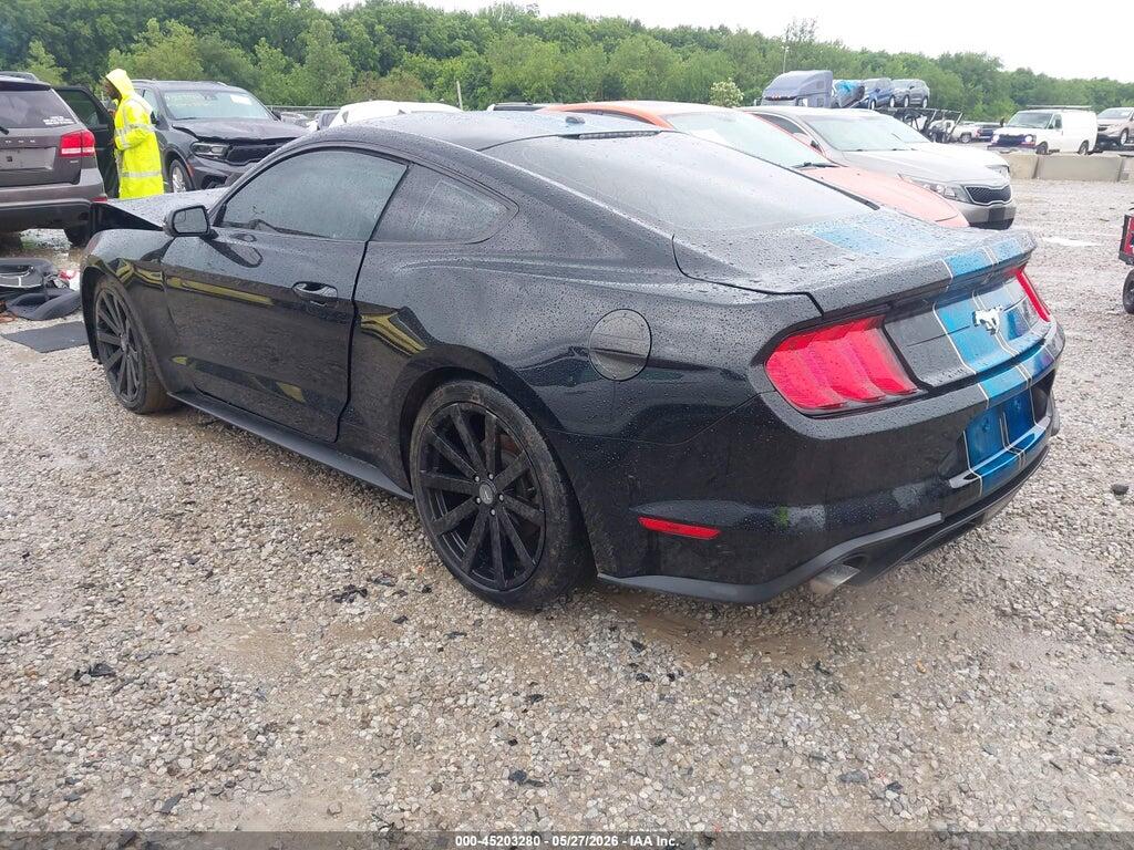 1FA6P8TH2K5194001 2019 FORD MUSTANG photo no. 3