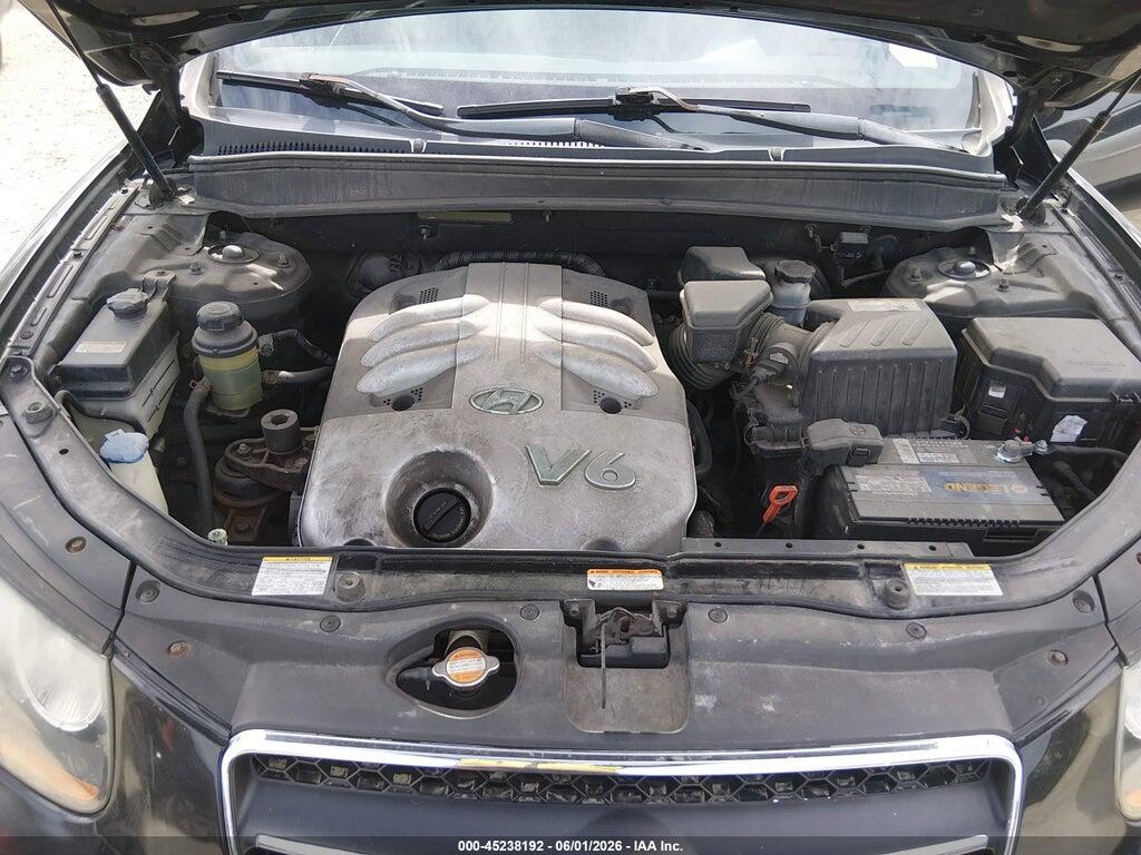 5NMSH13E87H089647 2007 HYUNDAI SANTA FE photo no. 10