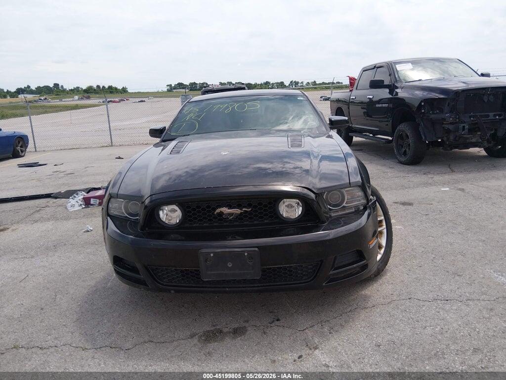 1ZVBP8CF4D5211033 2013 FORD MUSTANG photo no. 12