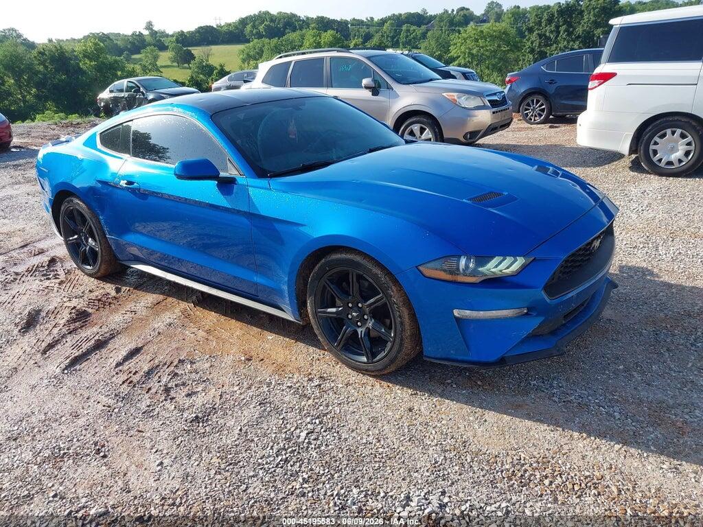 1FA6P8TH6K5202052 2019 FORD MUSTANG photo no. 1