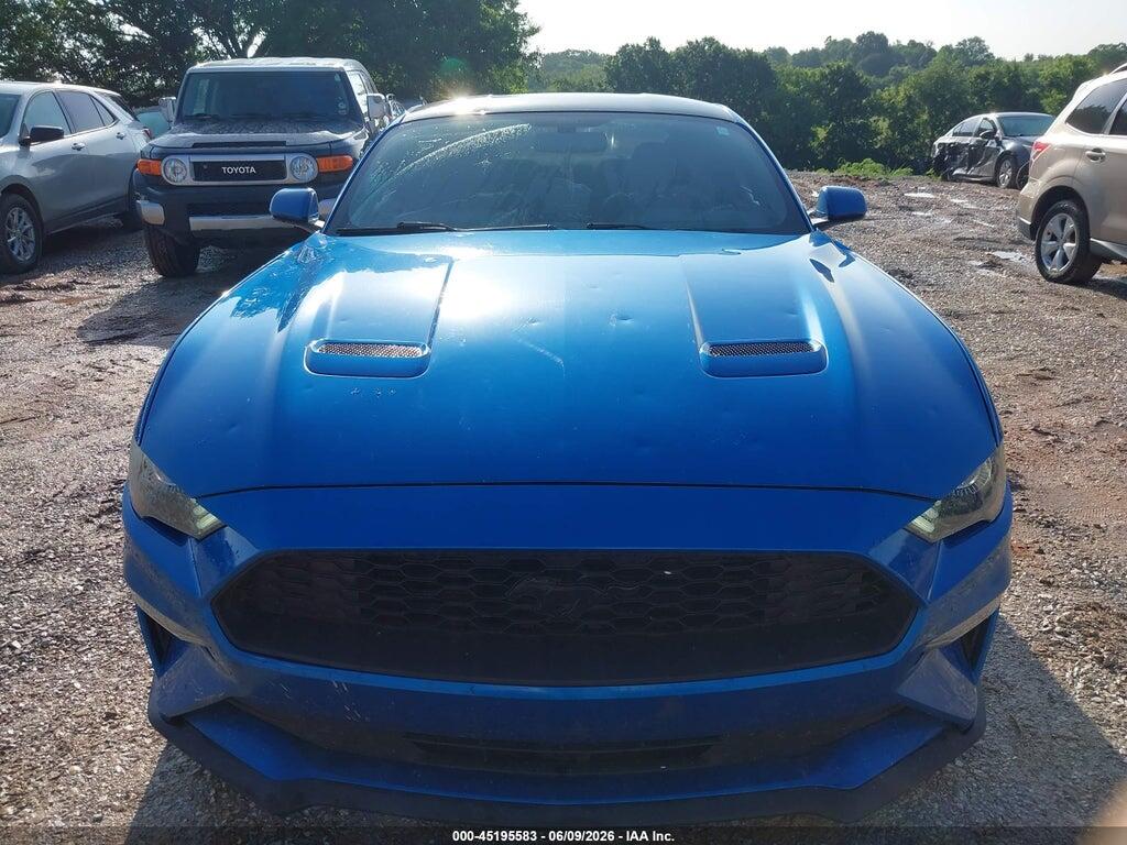 1FA6P8TH6K5202052 2019 FORD MUSTANG photo no. 12