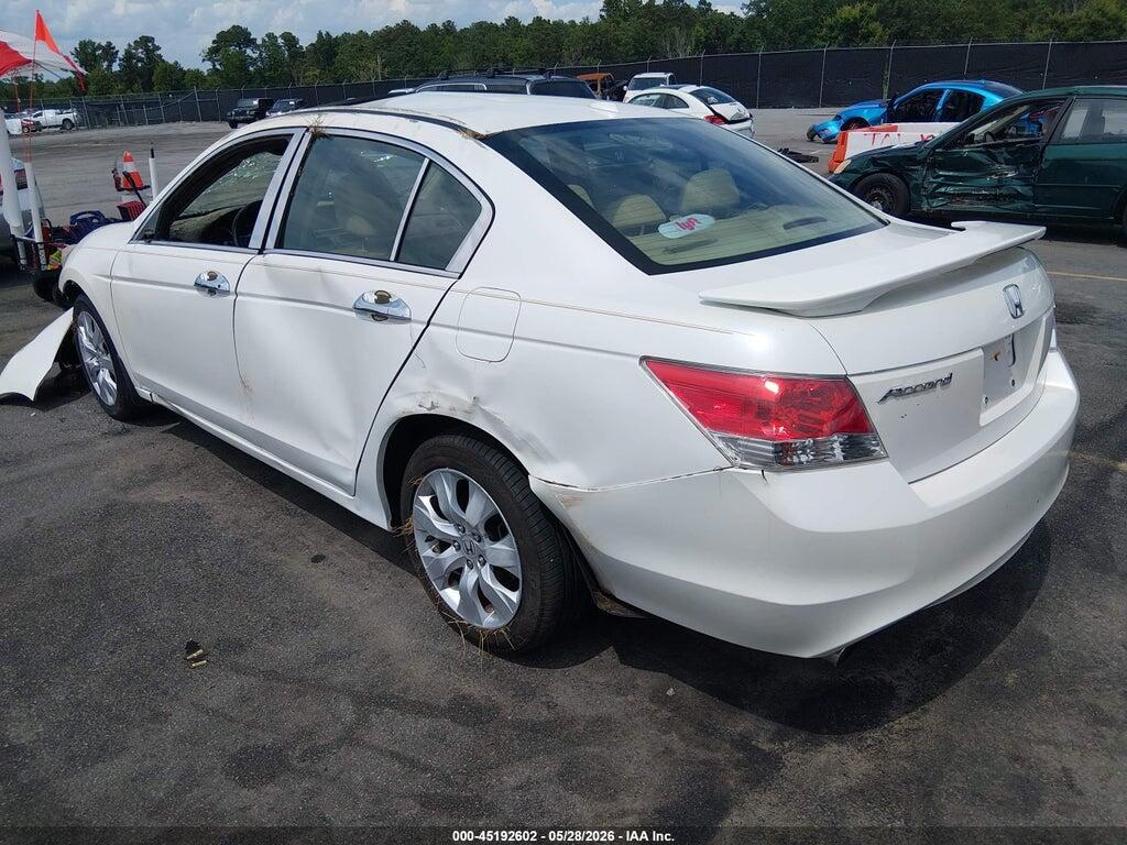 5KBCP3F81AB003646 2010 HONDA ACCORD photo no. 3