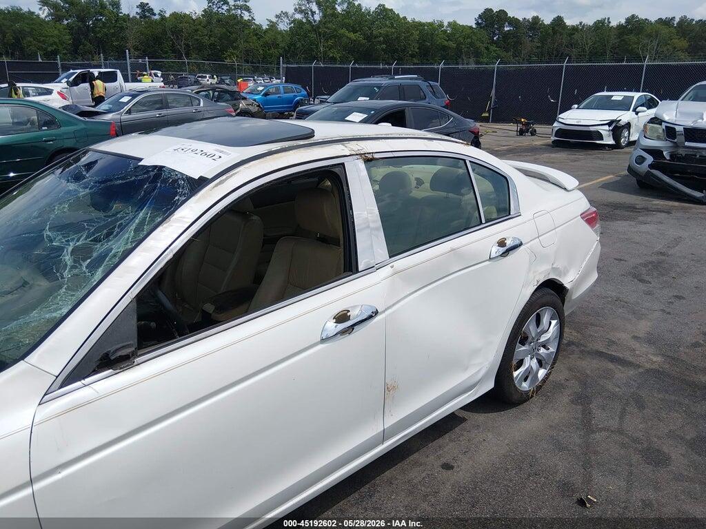 5KBCP3F81AB003646 2010 HONDA ACCORD photo no. 6
