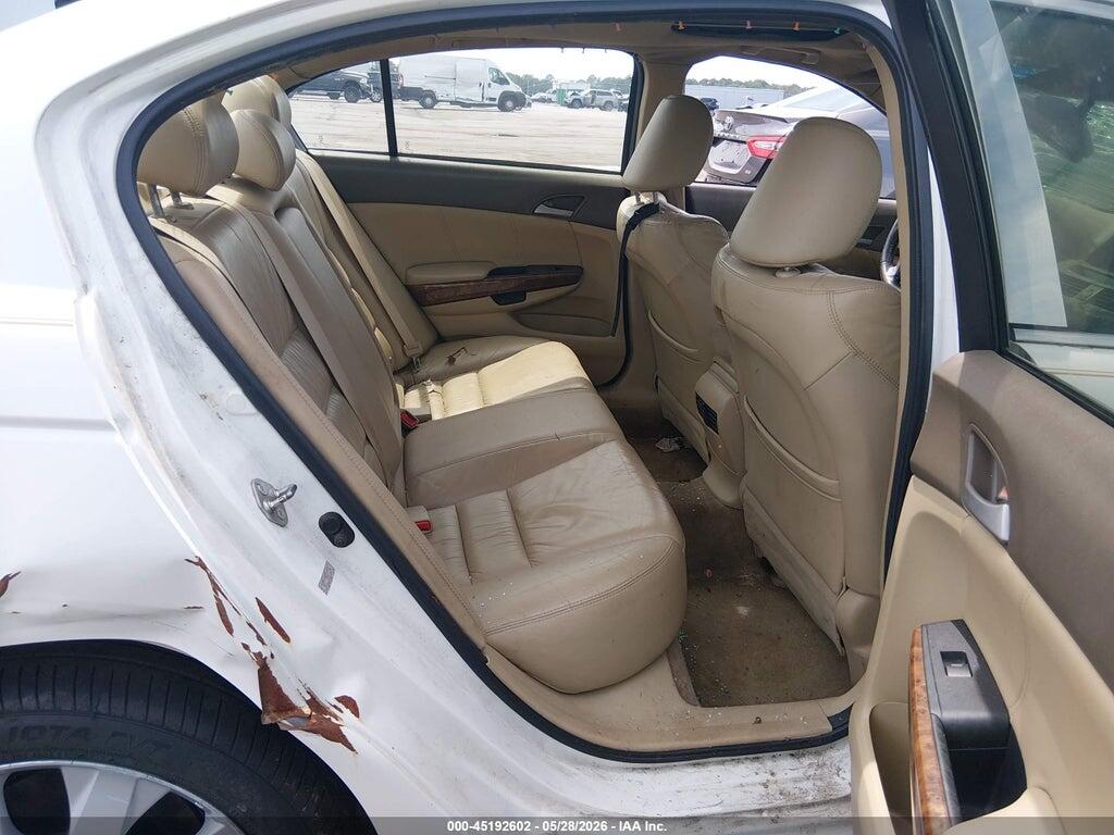 5KBCP3F81AB003646 2010 HONDA ACCORD photo no. 8