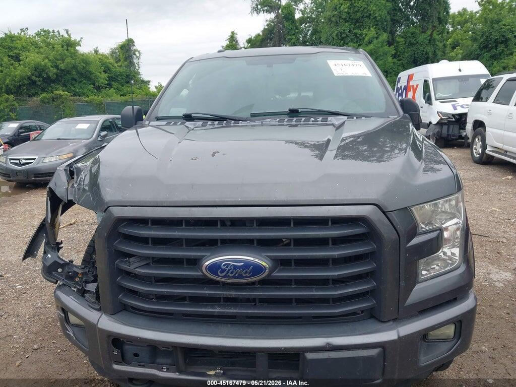 1FTFX1EG5FKE25034 2015 FORD F-150 photo no. 12
