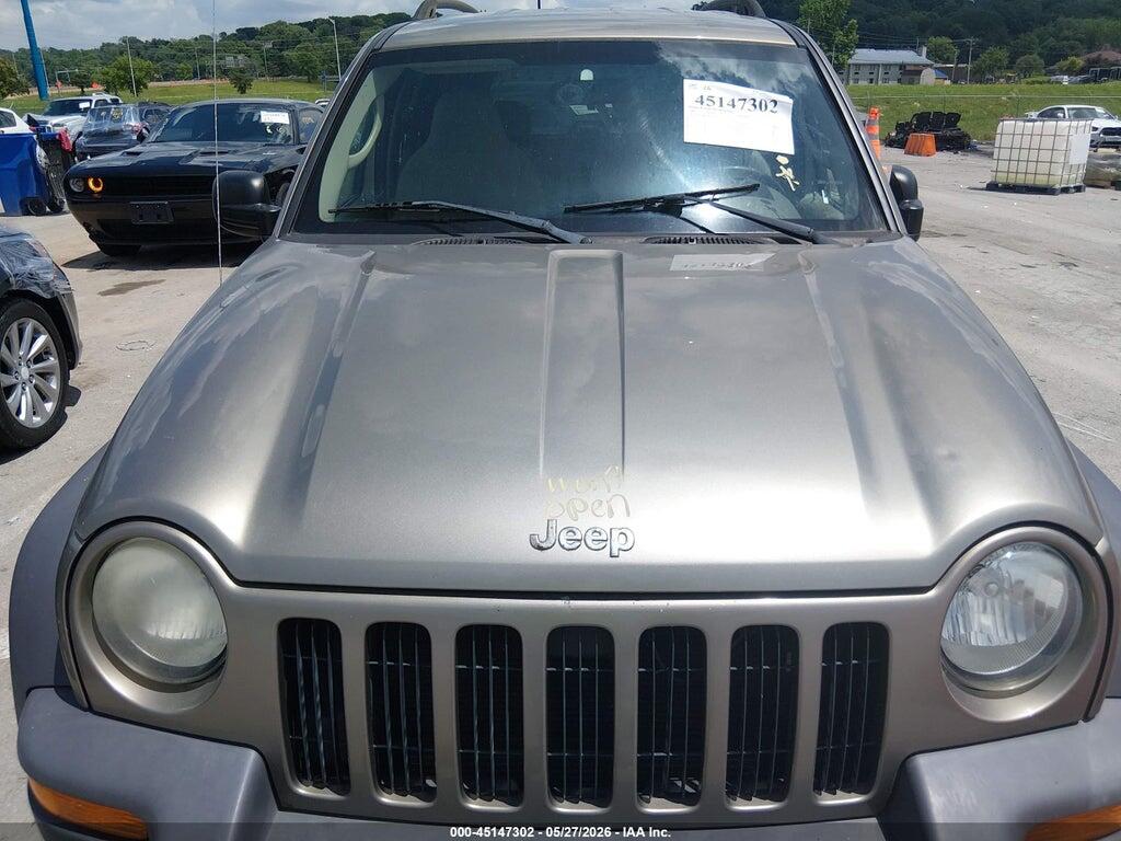 1J4GL48K44W126264 2004 JEEP LIBERTY photo no. 10