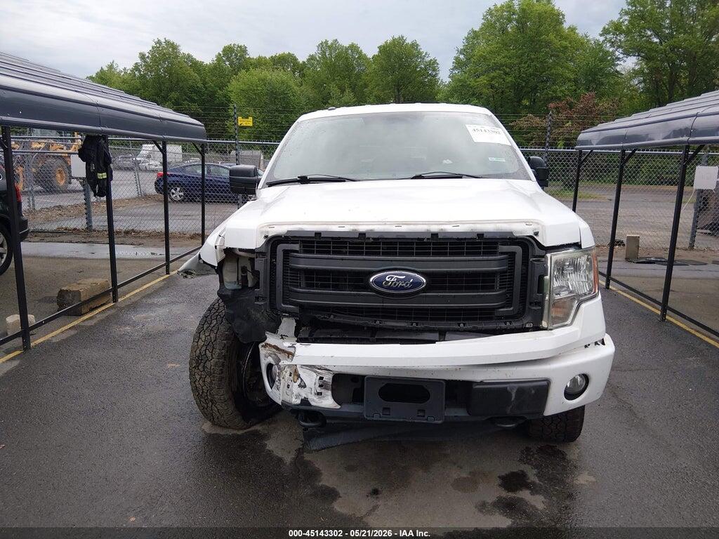 1FTFX1EF2DKF07646 2013 FORD F-150 photo no. 12