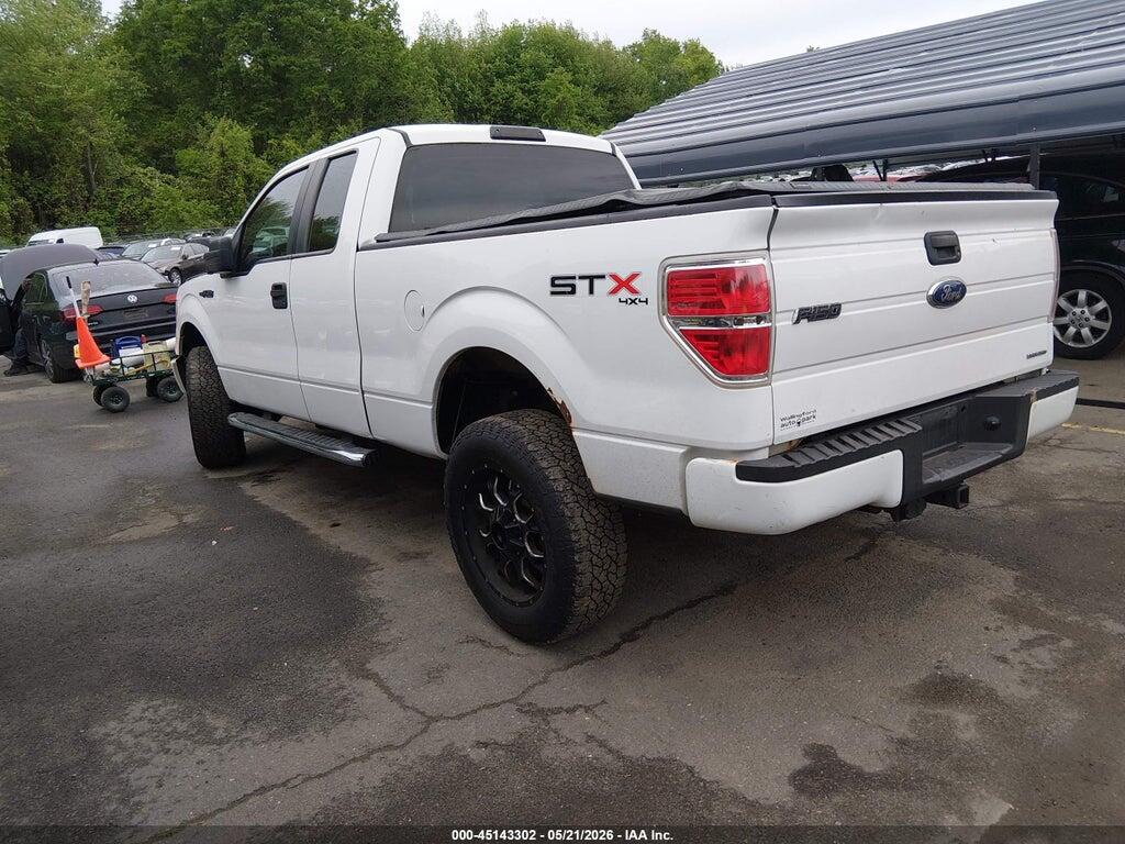 1FTFX1EF2DKF07646 2013 FORD F-150 photo no. 3
