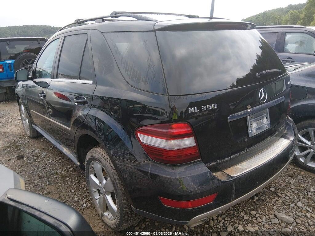 4JGBB8GBXBA712808 2011 MERCEDES-BENZ ML 350 photo no. 3